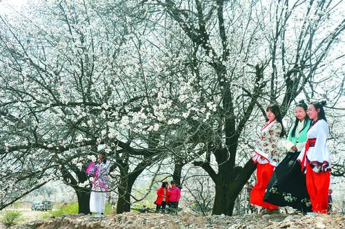 j9直营集团 品牌形象